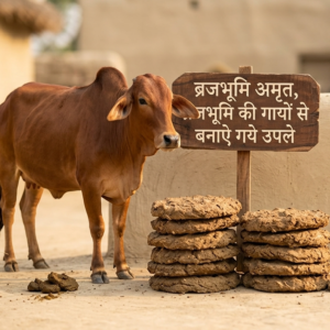 cowdung
